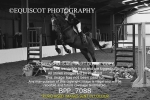BPP_7088
