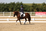 SBM_005794