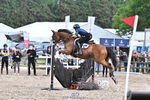 Injured Jockeys Competition portfolio