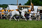 SBM_07888