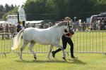 SBM_00776