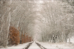 Morton Lane in Winter