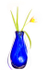 TULIPA TARDA #1 - PORT RYERSE