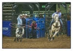 Team Roping 1