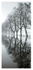 1  REFLECTIONS