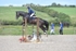 BPP_2193