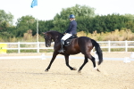 SBM_008260