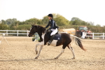SBM_001179