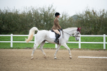 SBM_003454