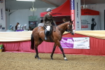 SBM_14874