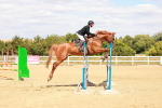 SBM_006538