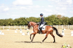 SBM_008879