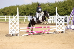 SBM_000363