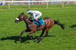 120725-Race 4-Al Qareem-5806