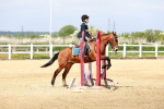 SBM_007777