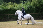 WJ6_3341