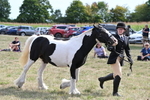 WJ6_6632