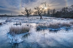 z4137 Frozen Marshes, Alverstone