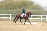 SBM_006666