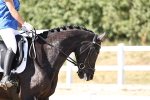 SBM_003373