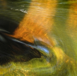 Freshwater 2 portfolio