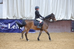 SBM_001137