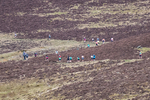 Black Combe-471