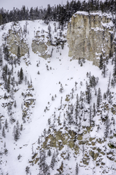 Yellowstone portfolio