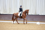 SBM_001008