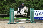 NSEA RPL 80-85cm portfolio