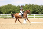 SBM_002031