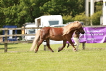 SBM_02450