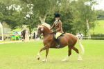 SBM_72069