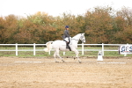 SBM_000675