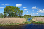 Aardla polder, Estonia