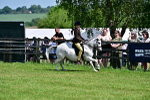 SBM_13884