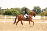 SBM_005431
