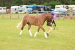 SBM_10292