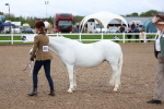 SBM_00248