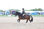 SBM_17165