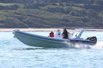 150906 KATIE - STINGHER RIB WT7A0473