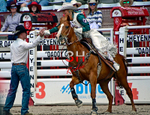 3HRodeo_CFD_JUL_19_2026_00212
