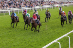 230824-Race 4-Bradsell-8408