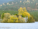 Aviemore portfolio