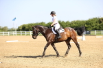 SBM_007497