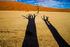 Deadvlei Shadows