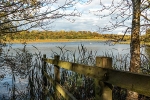 Brockholes 03