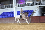 SBM_003493