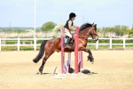 SBM_007097