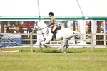 SBM_18533